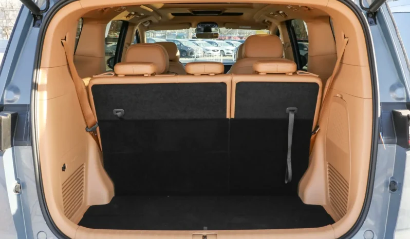 
								Voyah Dreamer EV full									